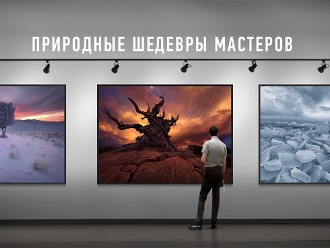 [Profileschool] Дмитрий Шатров. Природные шедевры _0.jpg